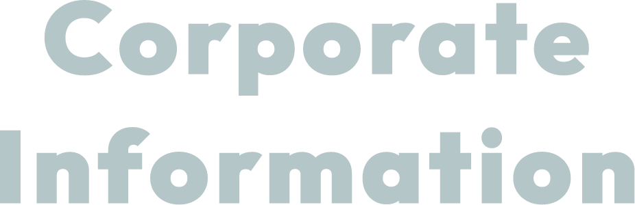 Corporate information
